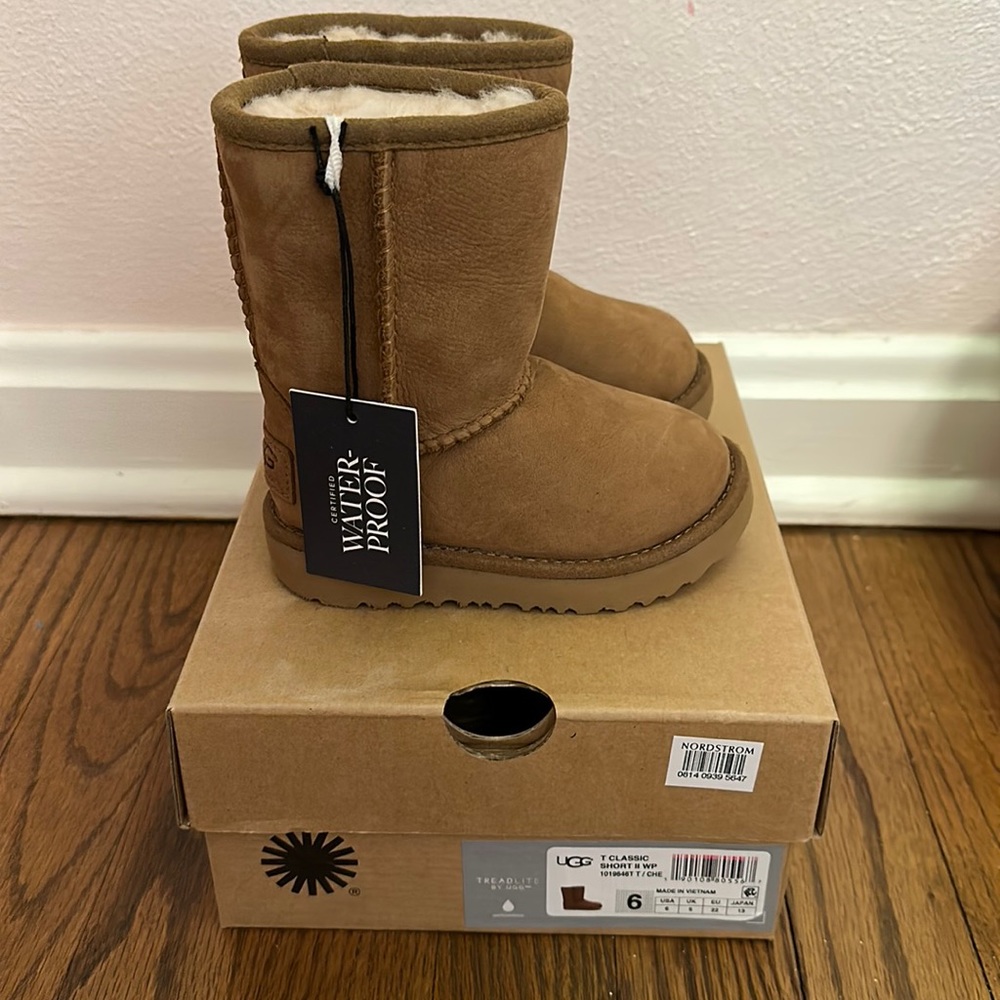 Chestnut Uggs T Classic Short II